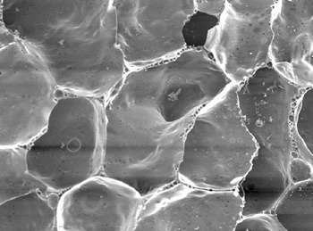 Структура пеностекольного щебня под электронным микроскопом